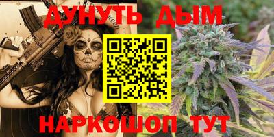 гидра Будённовск