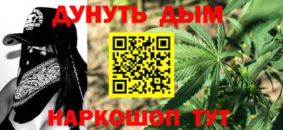 гидра Будённовск
