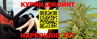гидра Будённовск