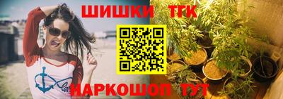 гидра Будённовск