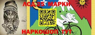 гидра Будённовск