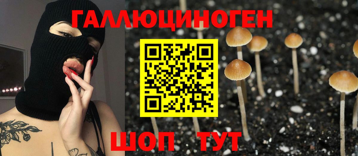 хочу наркоту  Псилоцибиновые грибы GOLDEN TEACHER  Вход с VPN  Мариинск  Псилоцибиновые грибы ЛСД 